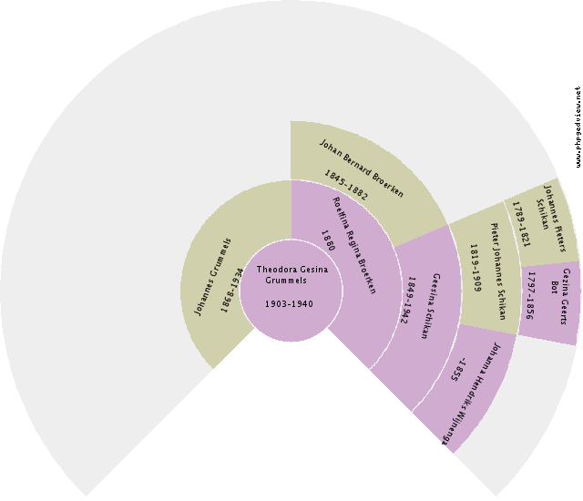 Gerrit de Vries Circle Diagram