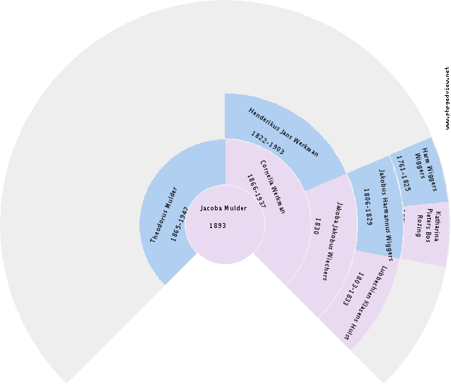 Elisabeth Folkerts Circle Diagram